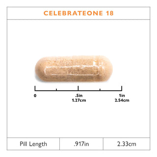 CelebrateONE 18 Multivitamine bariatrique à prendre une fois par jour avec Fer, Capsules