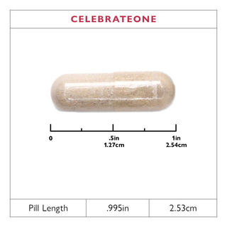 CelebrateONE Bariatric One A Day Multivitamin, sans fer